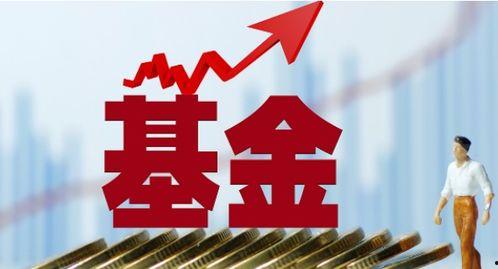 新华基金爆料最新消息,揭秘市场动态与投资趋势