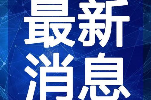 爆料苏北亮哥视频大全最新,揭秘网红魅力背后的故事